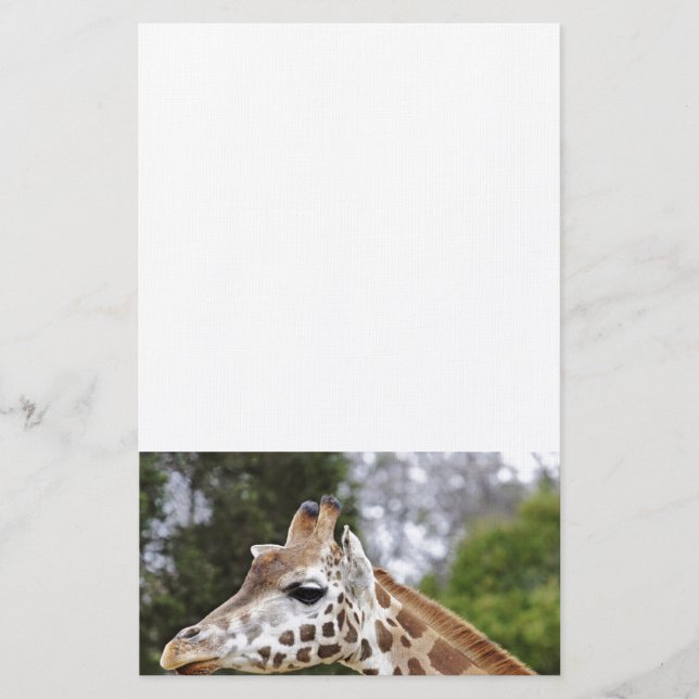 Papelaria Safari Africa Mod Chic Classy Destiny Giraffe (Frente)