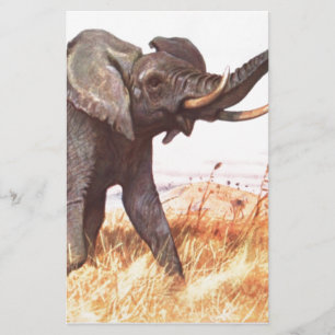 Papelaria Safari African Jungle Destinants Elephants