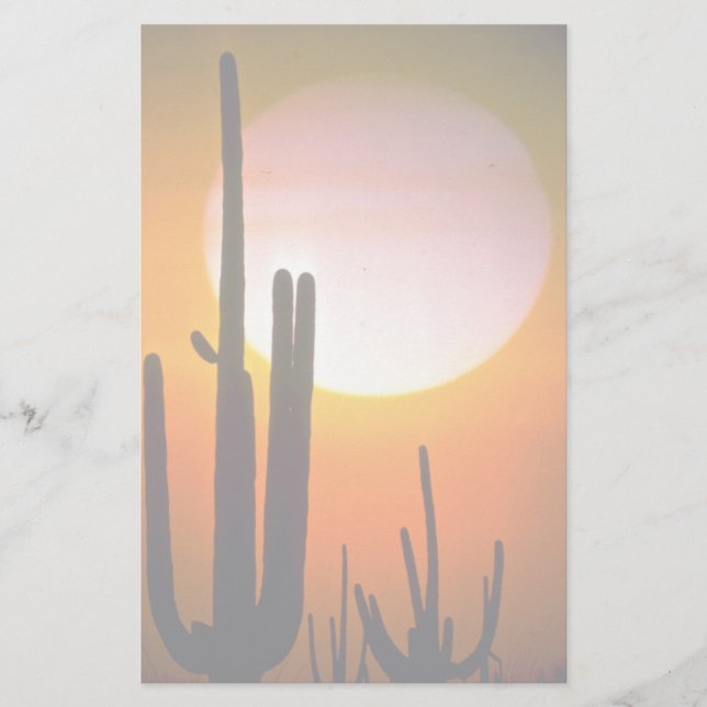 Papelaria Saguaro cactus, Deserto de Sonoran, E.U.A. Deserto (Frente)