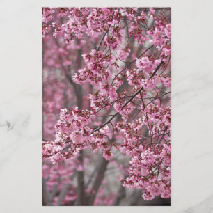 Papelaria Sakura Cherry Blossoms Fluindo Rosa