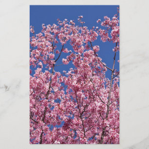 Papelaria Sakura Cherry Blossoms No Azul