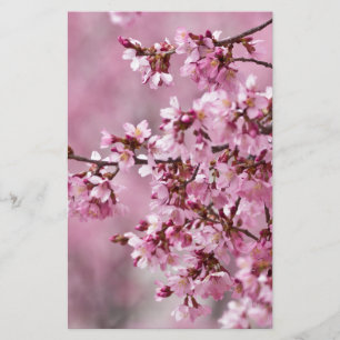 Papelaria Sakura Cherry Blossoms Pastel Pink Camadas