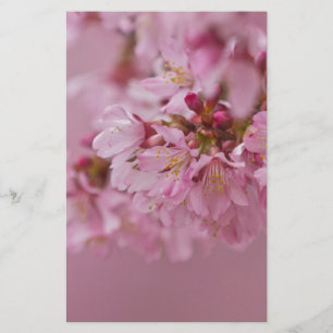 Papelaria Sakura Cherry Blossoms Rosa Pálido Reflexões
