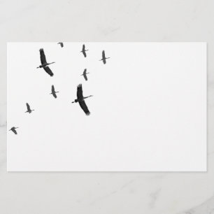 Papelaria Sandhill Cranes em vôo