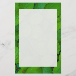 Papelaria Santo Basil Tulsi Green Mint Folhas