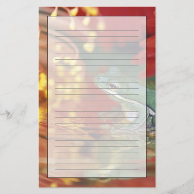 Papelaria Sapo e reflexões entre as flores. Crédito como: (Frente)