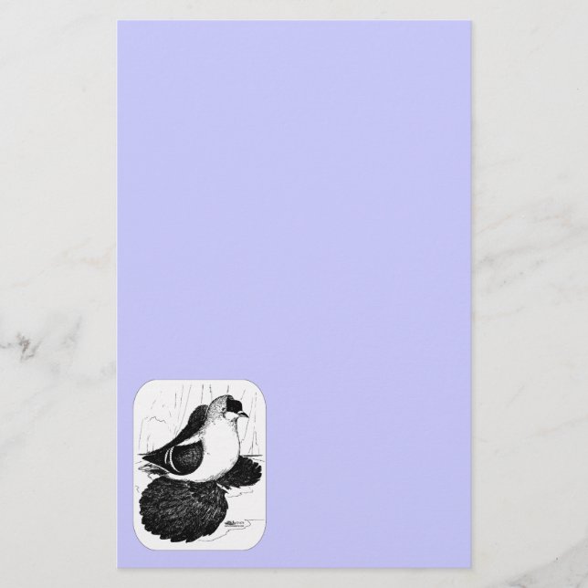 Papelaria Saxon Swallow Pigeon 1978 (Frente)