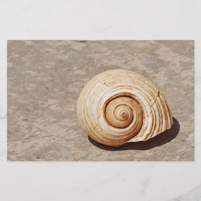 Papelaria SeaShell (Frente)