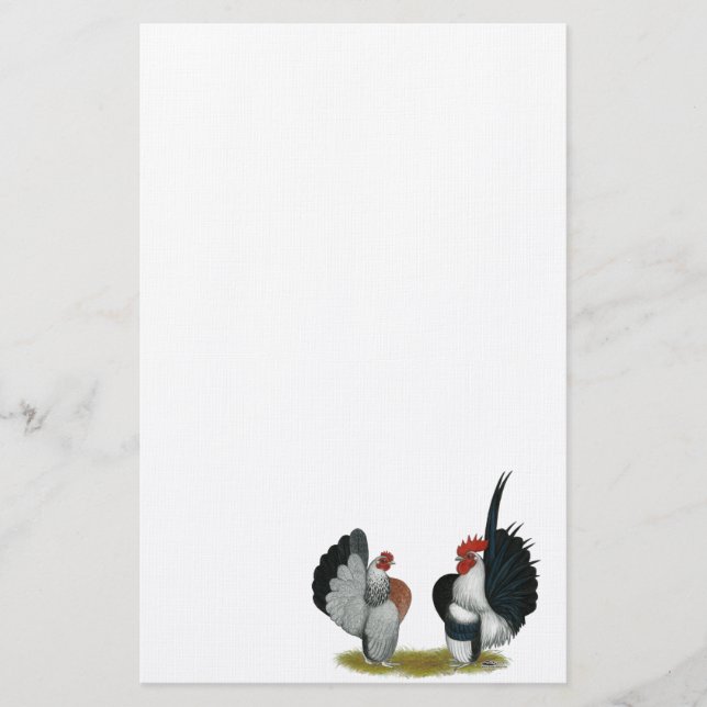 Papelaria Serama Bantams (Frente)