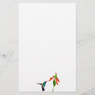 Papelaria Série da arte dos Pássaro-amantes selvagens do