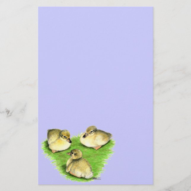 Papelaria Snowy Mallard Ducklings (Frente)