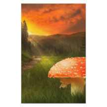 Sol de Outono Poente.