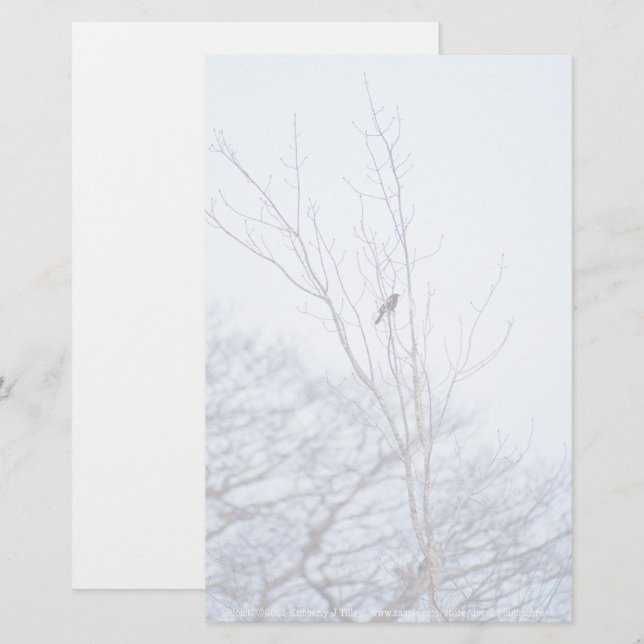 Papelaria Solista (Frente/Verso)