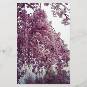 Papelaria Springtime