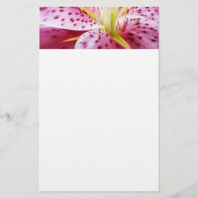 Papelaria Stargazer Lily Bright Magenta Floral (Frente)