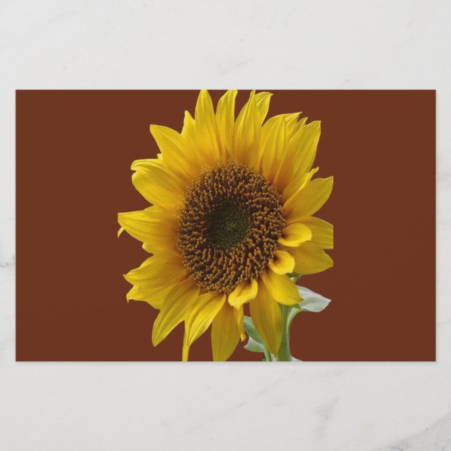 Papelaria Stationary paper sunflower (Frente)