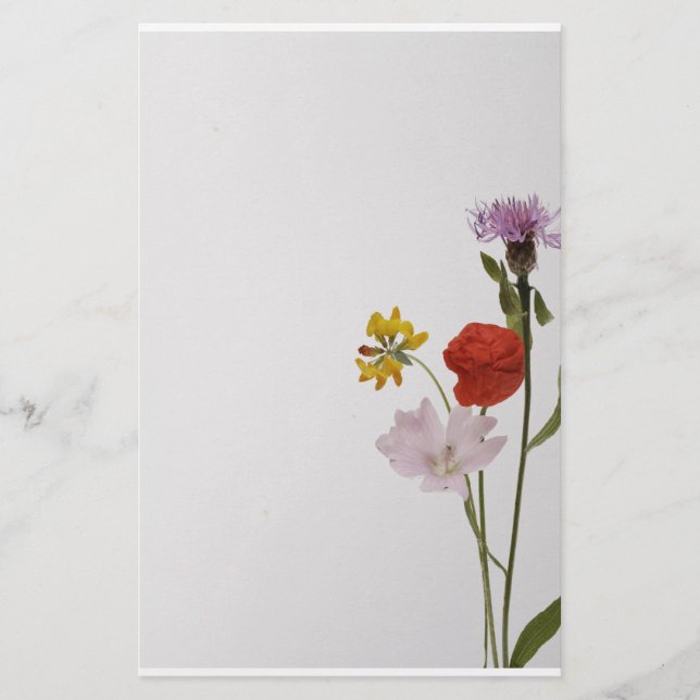 Papelaria Stationery colorful flowers (Frente)