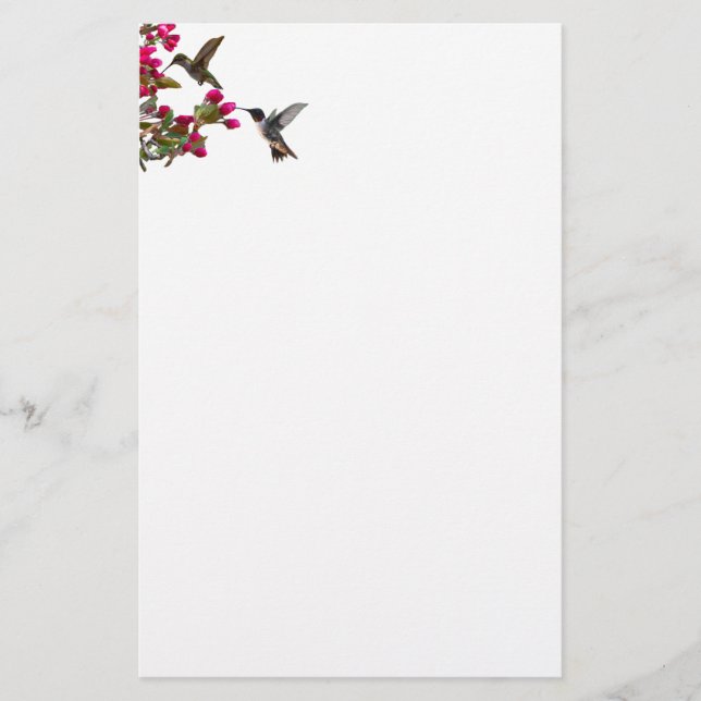 Papelaria Stationery hummingbirds (Frente)
