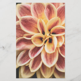 Papelaria Summer Dahlia Flower (Arte Floral)