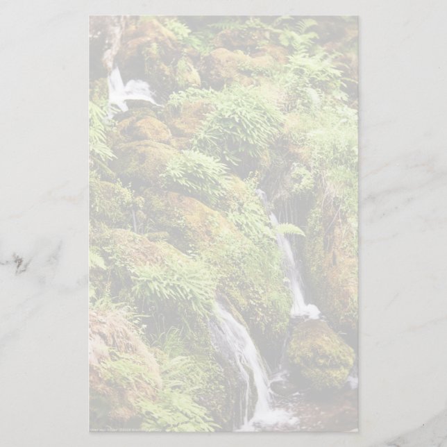 Papelaria Superior e Inferior (Frente)