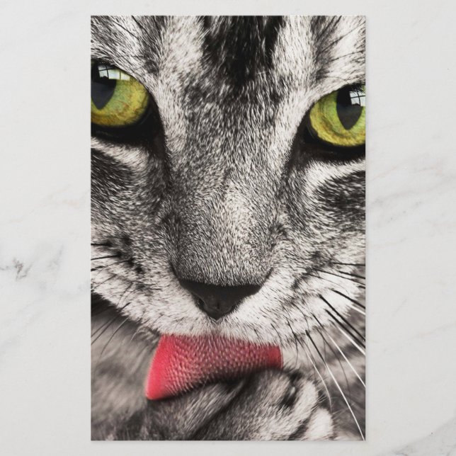 Papelaria Tabby Cat Licing Paw (Frente)