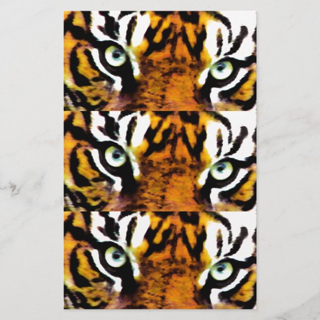 PAPELARIA TIGER EYE'S_ (Frente)