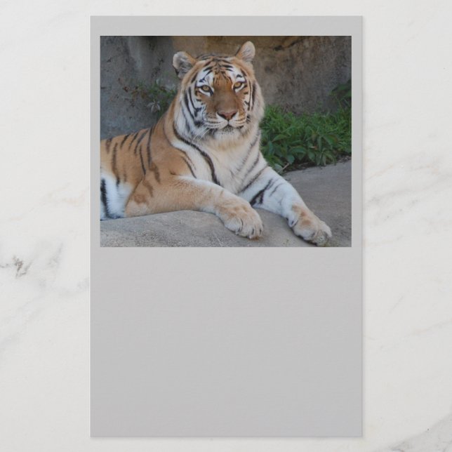 Papelaria Tiger Love (Frente)