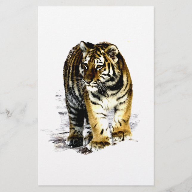 Papelaria Tigre (Frente)