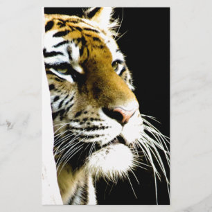 Papelaria Tigre