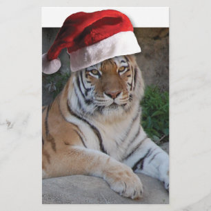 Papelaria Tigre de Bengala Natal
