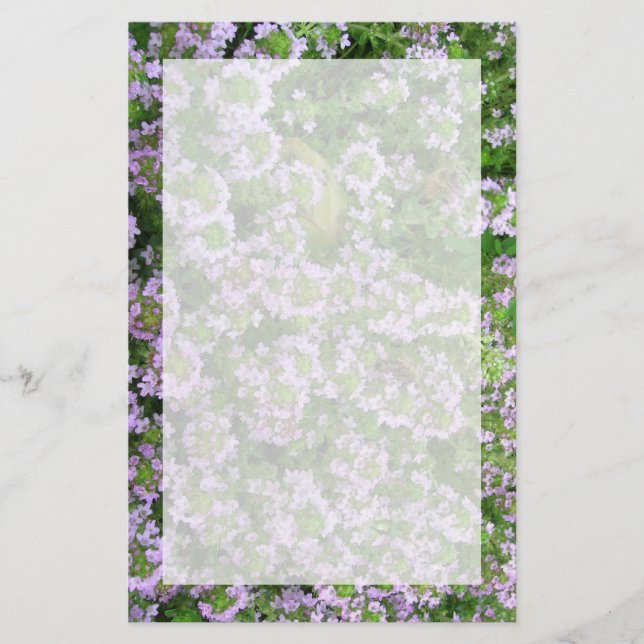 Papelaria Tomilho Roxo (Frente)