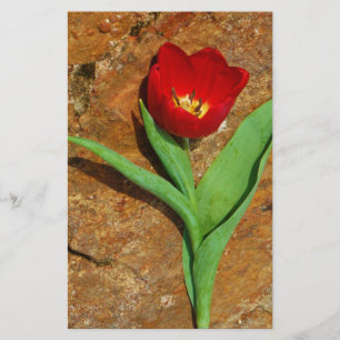 Papelaria Tulipa Amarela e Vermelha