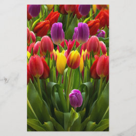 Papelaria Tulipas Bris