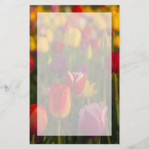 Papelaria Tulipas, Festival das Tulipas, Woodburn, Oregon, E