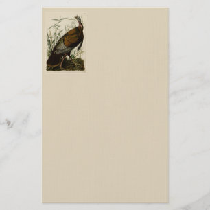 Papelaria Turquia selvagem por John Audubon