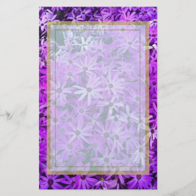 Papelaria Um campo de margaridas roxas e rosa (Frente)