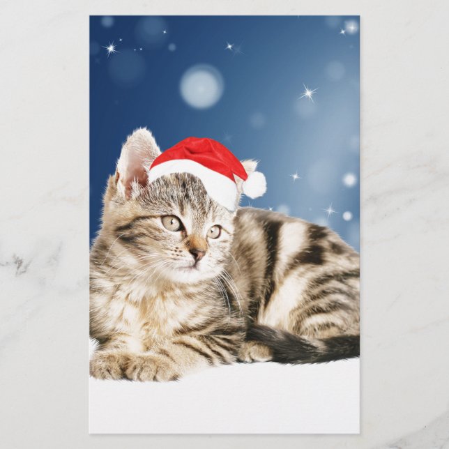 Papelaria Um gato bonito vestindo o Papai Noel vermelho e a  (Frente)