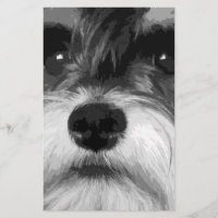 Um Schnauzer diminuto preto e branco