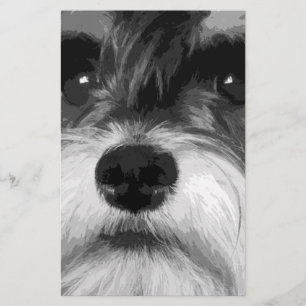 Papelaria Um Schnauzer diminuto preto e branco