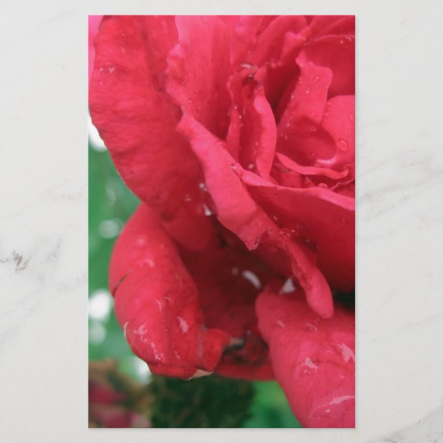 Papelaria Uma Rosa vermelha (Frente)