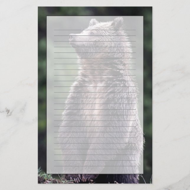 Papelaria Urso de urso ereto (Frente)