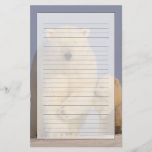 Papelaria urso polar, Ursus maritimus, fêmea com filhotes re