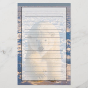 Papelaria urso polar, Ursus maritimus, urso polar no gelo