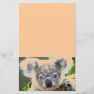 Papelaria Ursos de Koala