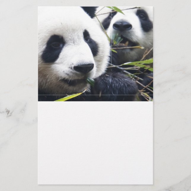Papelaria Ursos Panda (Frente)