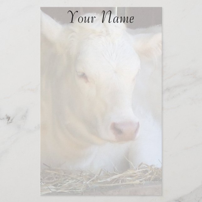 Papelaria Vaca branca (Frente)