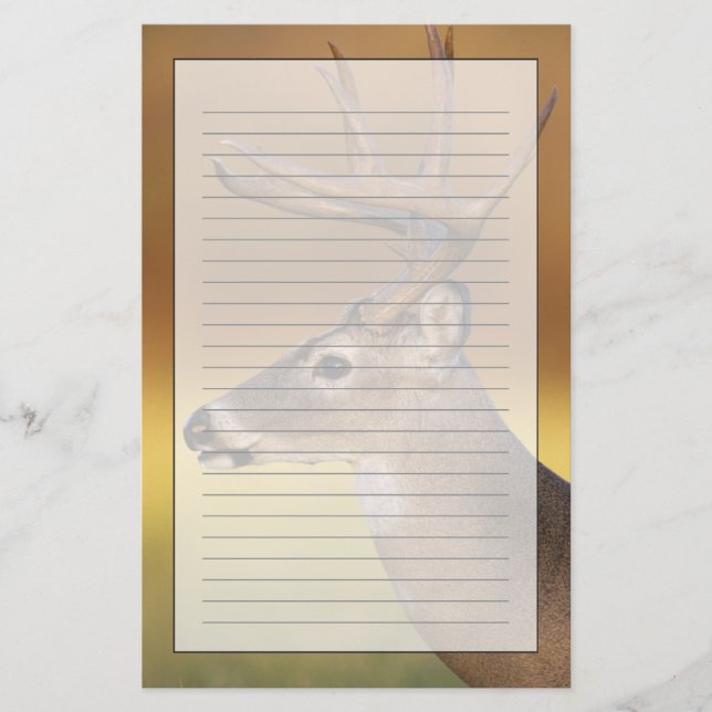 Papelaria Veado-mateiro, Odocoileus virginianus, (Frente)