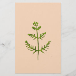 Papelaria verde primavera