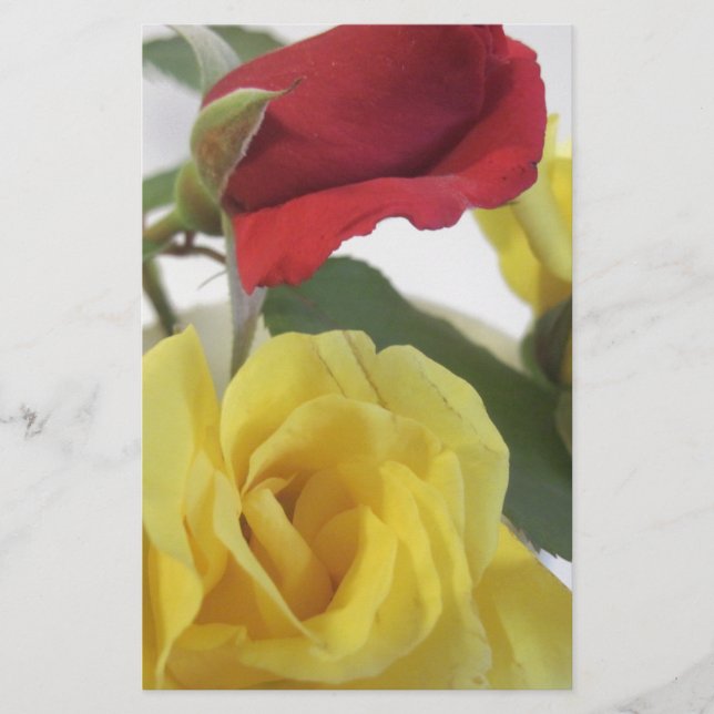 Papelaria Vermelho Amd Rosas Amarelas (Frente)