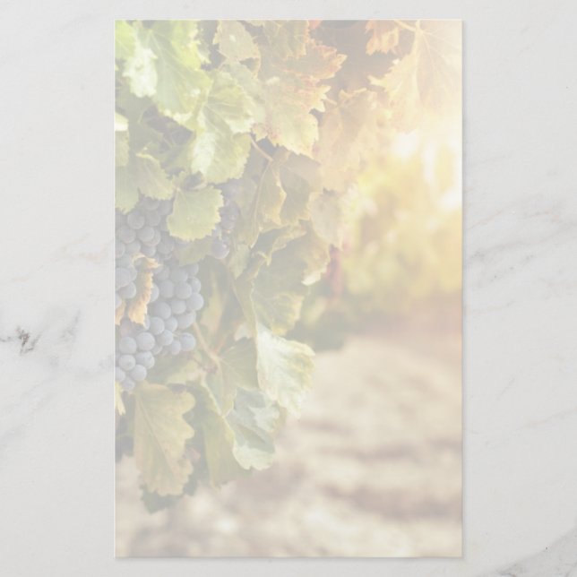 Papelaria Vinhas Ao Sol (Frente)